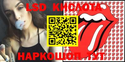 Альфа ПВП Новозыбков