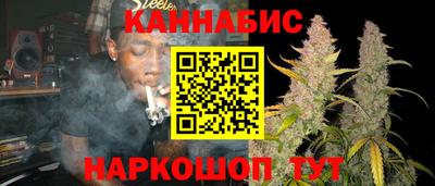 Альфа ПВП Новозыбков