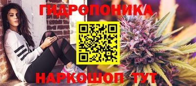 прущие грибы Новодвинск