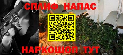 прущие грибы Новодвинск