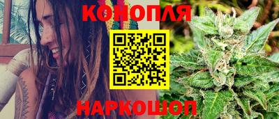 прущие грибы Новодвинск
