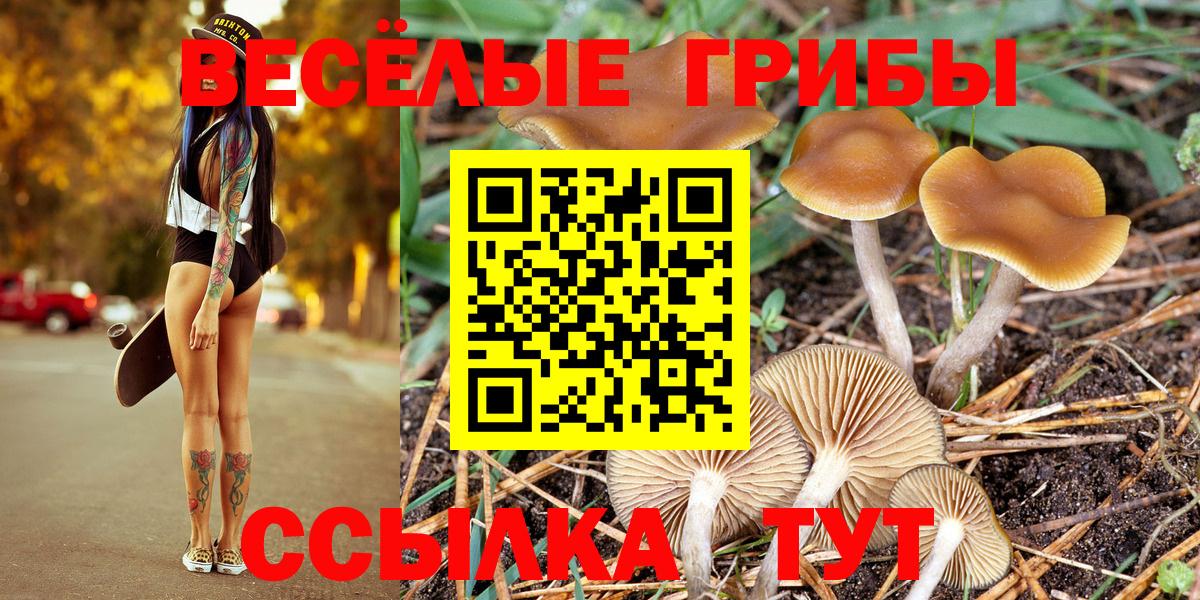 Галлюциногенные грибы Cubensis  наркошоп  Александров  Вход с VPN 